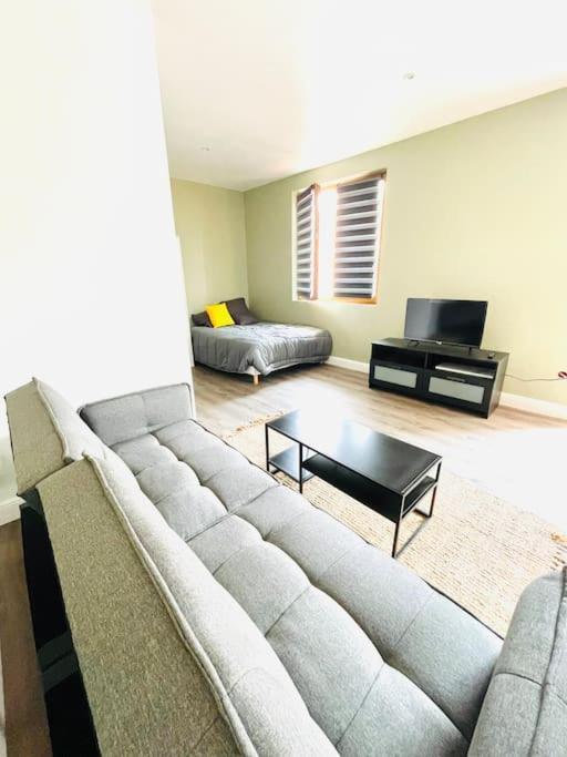 Studio Tout Equipe Au Calme Et Chaleureux Apartment Saint-Etienne  Bagian luar foto