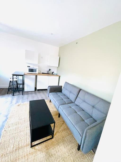 Studio Tout Equipe Au Calme Et Chaleureux Apartment Saint-Etienne  Bagian luar foto