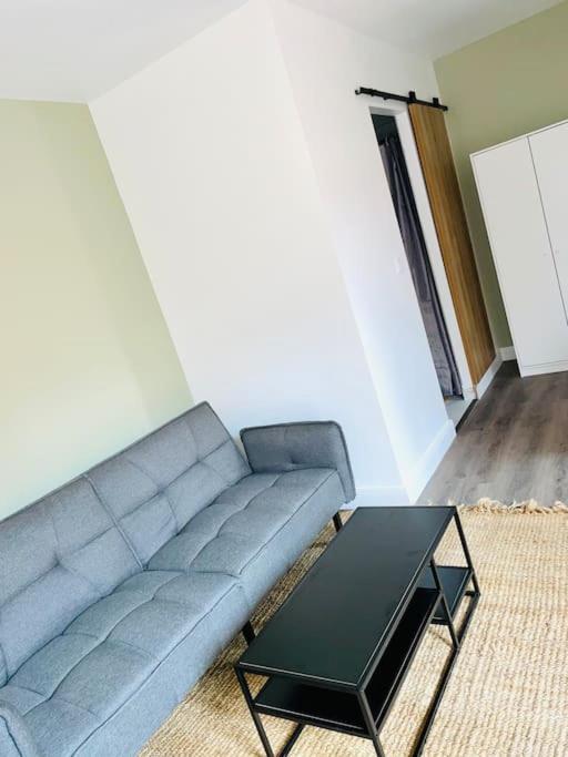 Studio Tout Equipe Au Calme Et Chaleureux Apartment Saint-Etienne  Bagian luar foto